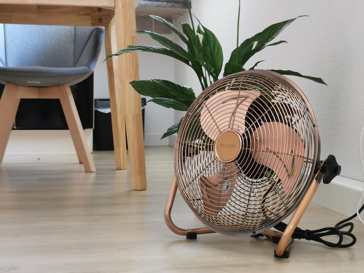 Fynbos Studio Dg In Der Altstadt, Frauenkirchenblick, Parkplatz Meißen Kültér fotó